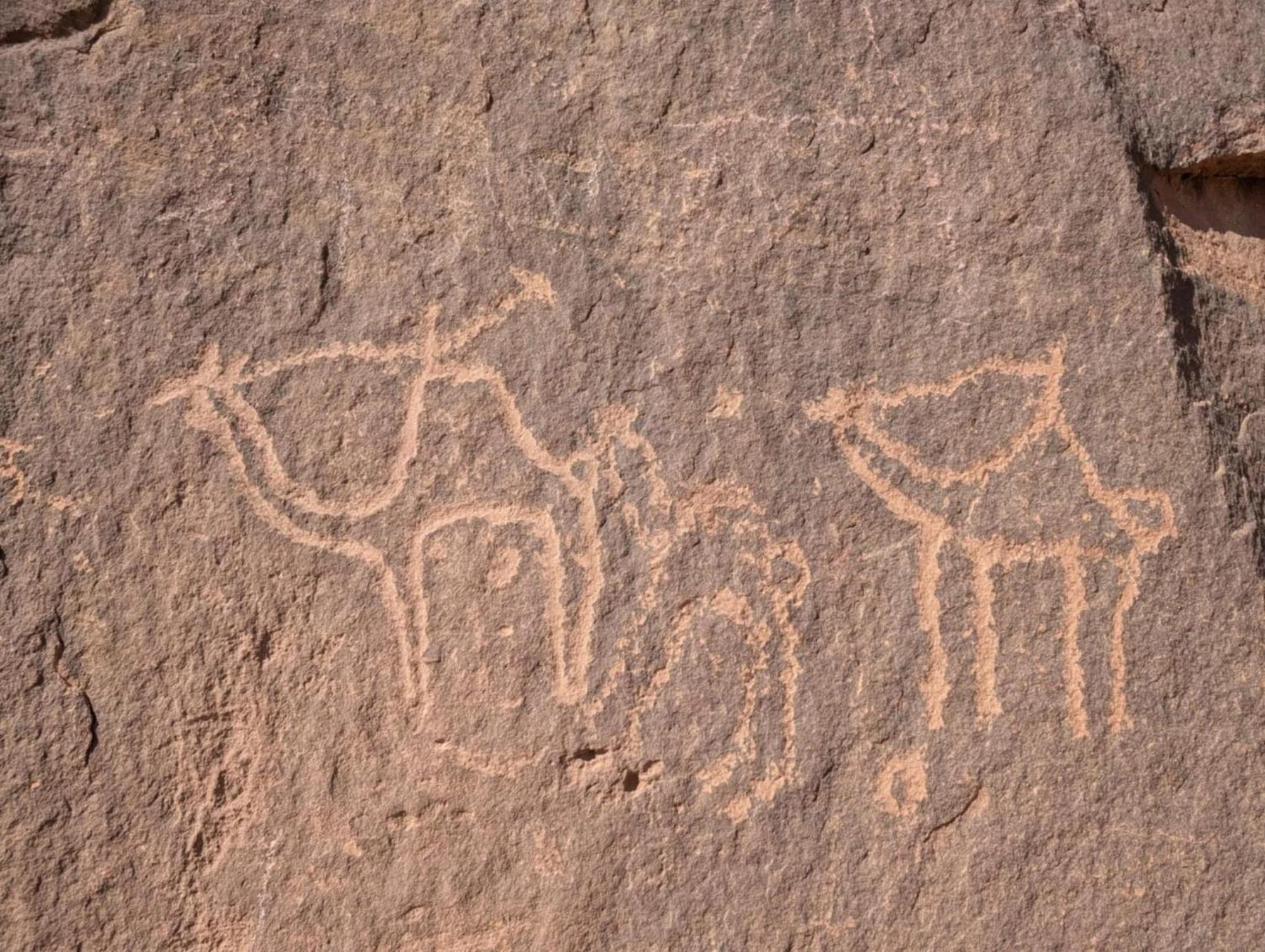 Wadi Rum Albasli Exterior foto